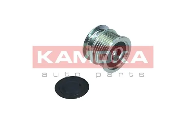 Comprar 55565443 Peugeot/Citroen Rueda libre del alternador