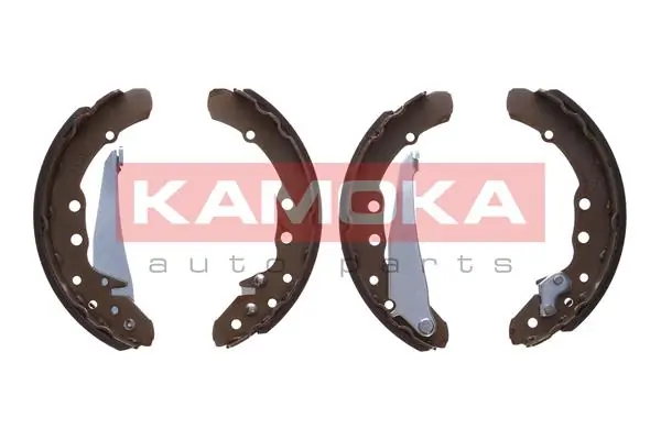 JQ202004 Kamoka