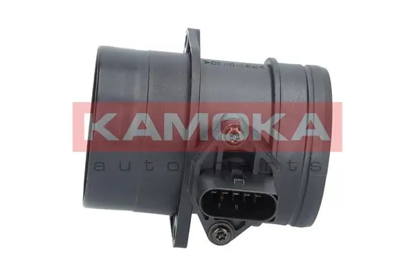 18057 Kamoka