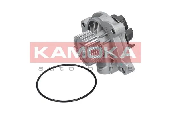 T0042 Kamoka