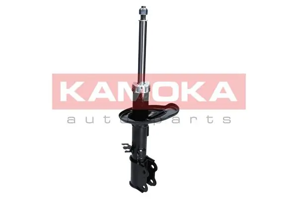 2000196 Kamoka