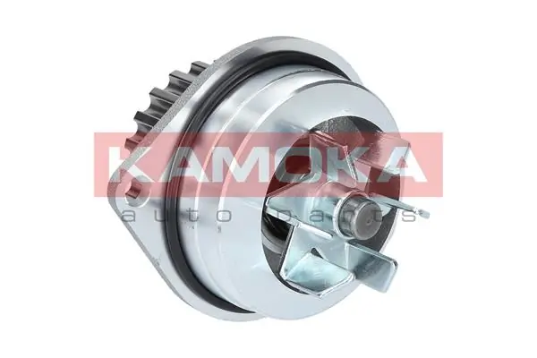 Motor de agua AX  hatchback (1986-1998) original desde 29,76 €