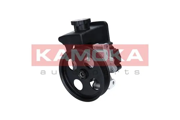 PP133 Kamoka