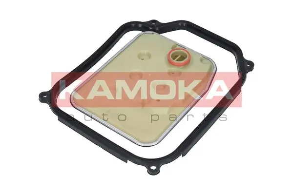 Comprar Filtro caja de cambios automática Leon 1M1