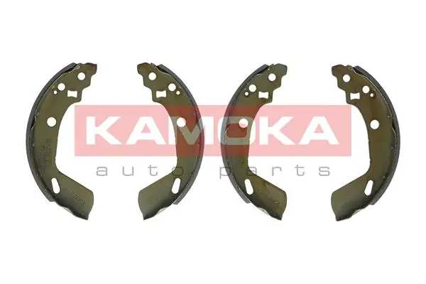 JQ202092 Kamoka