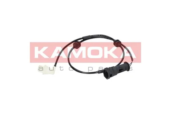105014 Kamoka