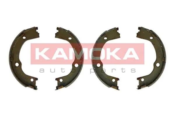 JQ212065 Kamoka