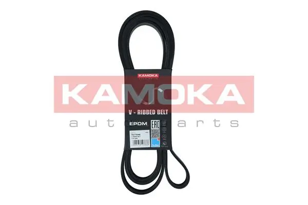  Correa de alternador Ford Transit 6