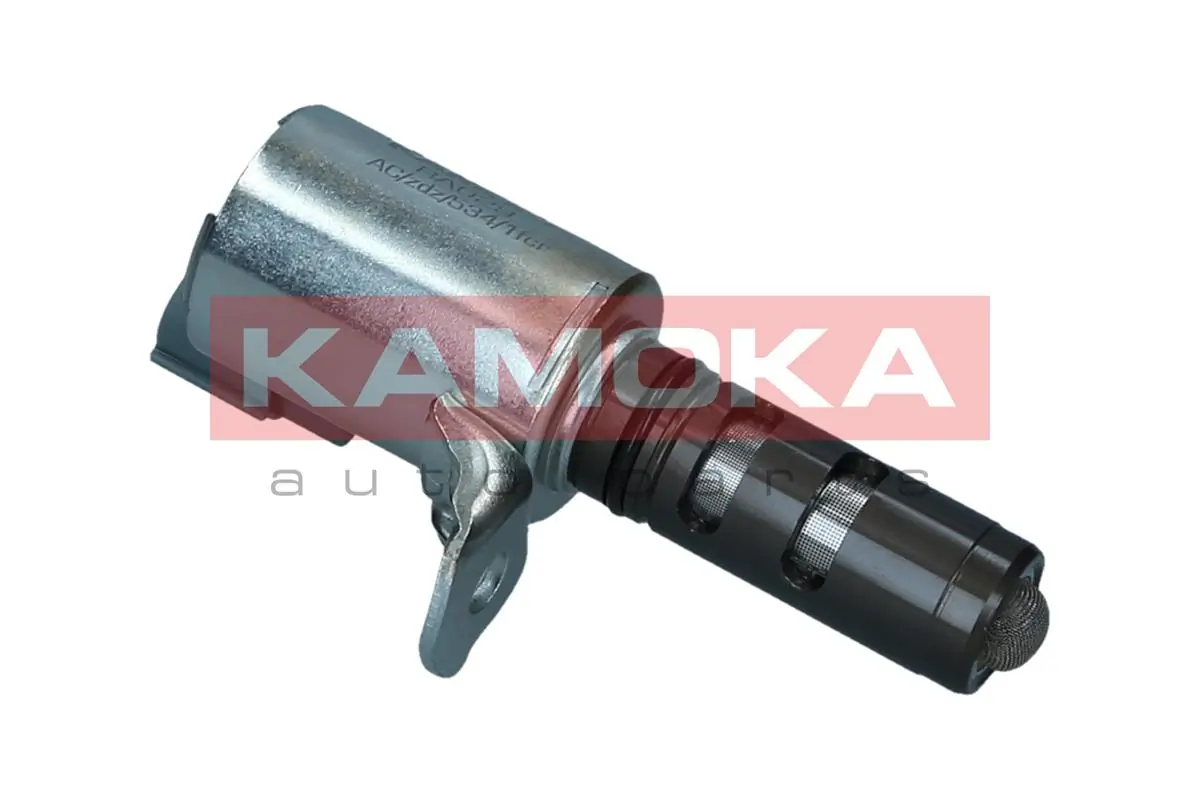 RA029 Kamoka