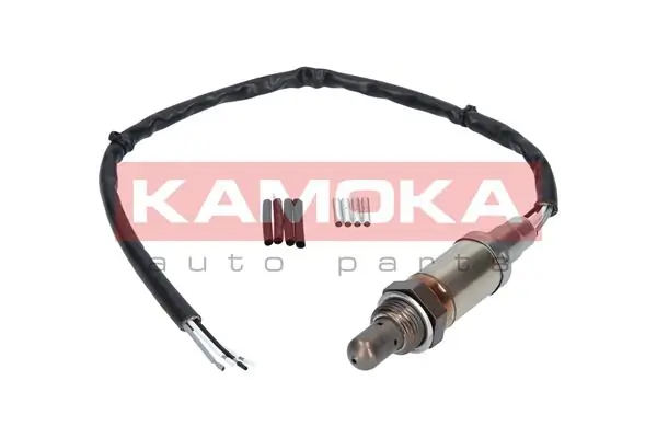 17004 Kamoka