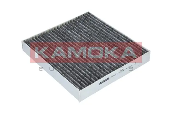 F509901 Kamoka Filtro antipolen