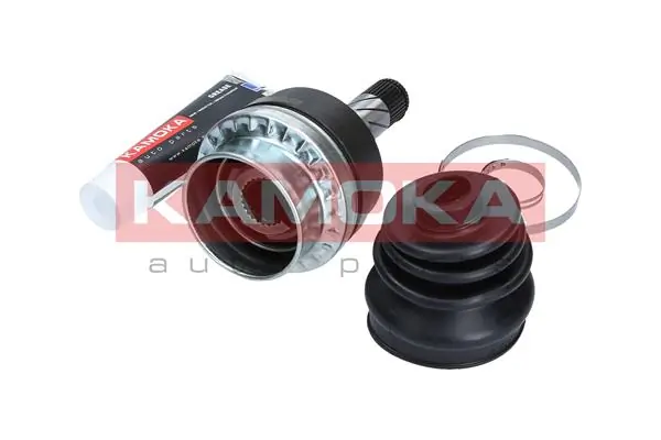8009 Kamoka