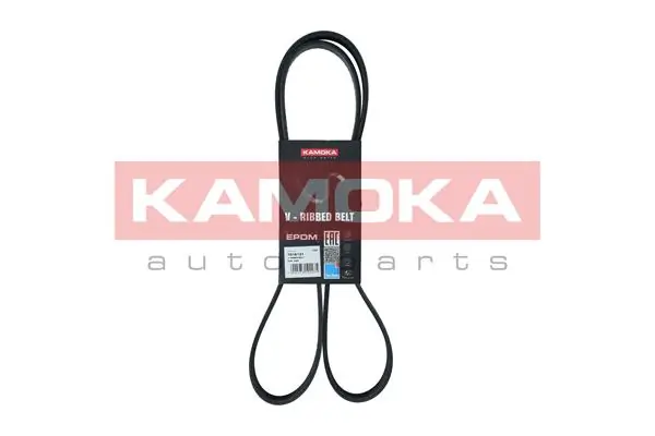 98007135 General Motors Correa poly v
