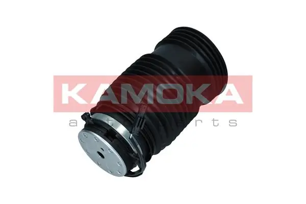 2079051 Kamoka