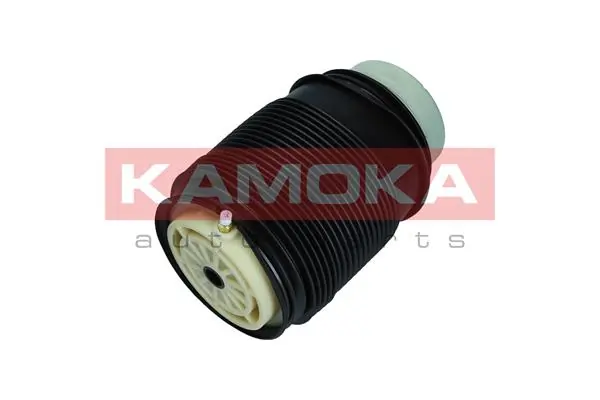 2079042 Kamoka