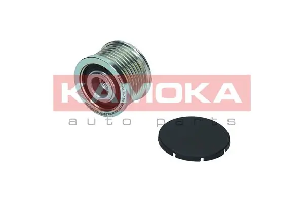 Comprar Polea del alternador Renault DOKKER  FE a bajo precio