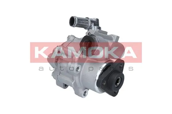 PP017 Kamoka