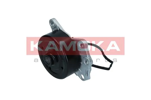 T0088 Kamoka