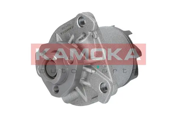 Comprar P524 Tata Bomba de agua para motor