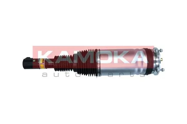 2070009 Kamoka