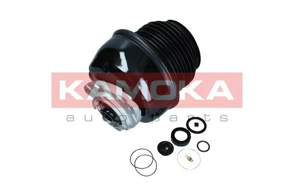 2079054 Kamoka