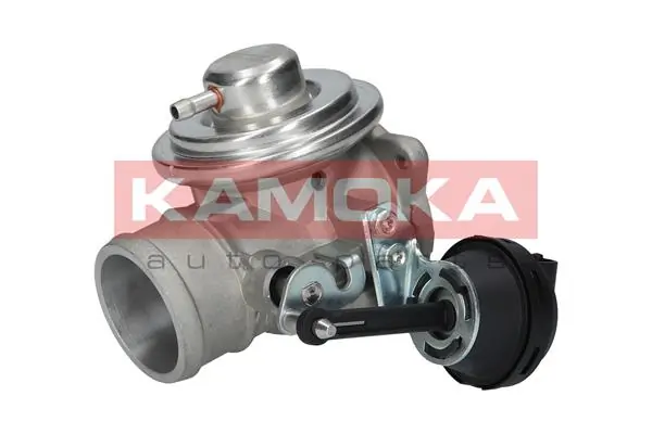 19042 Kamoka