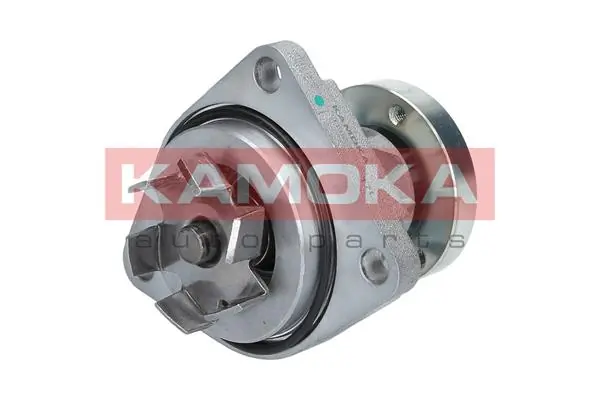 Comprar 0392020020 Bosch Bomba de agua para motor