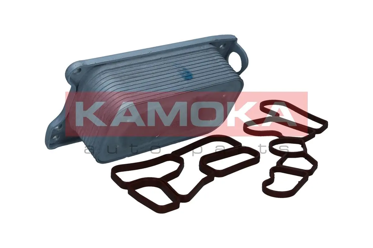7730053 Kamoka