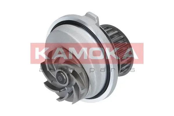 T0107 Kamoka