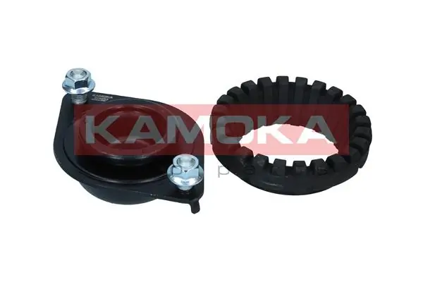 209293 Kamoka