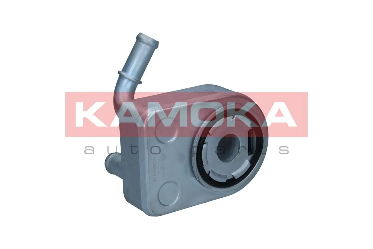 7730105 Kamoka