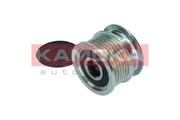 Polea alternador 55565443 Peugeot/Citroen