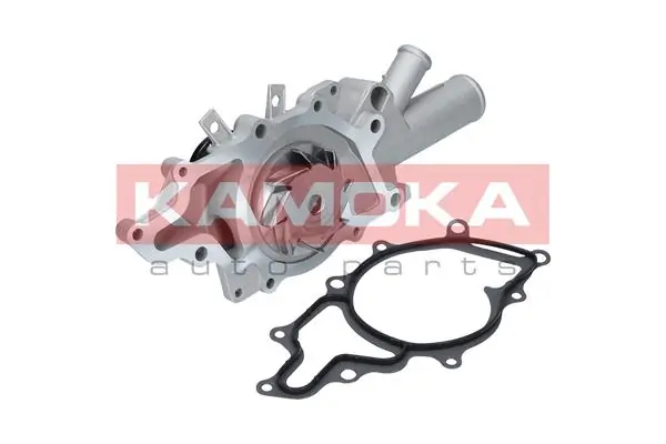T0199 Kamoka