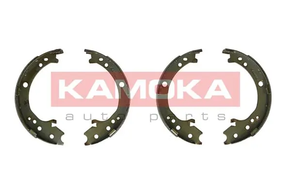 JQ212060 Kamoka