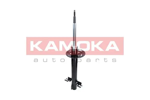 2000434 Kamoka