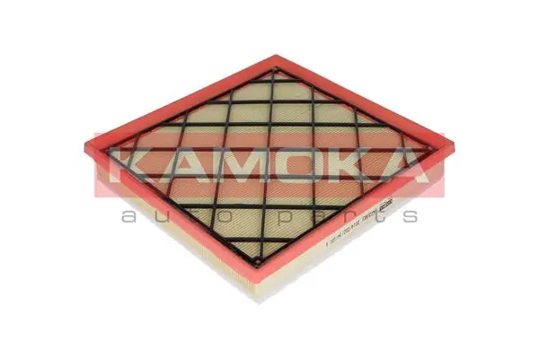 F220801 Kamoka