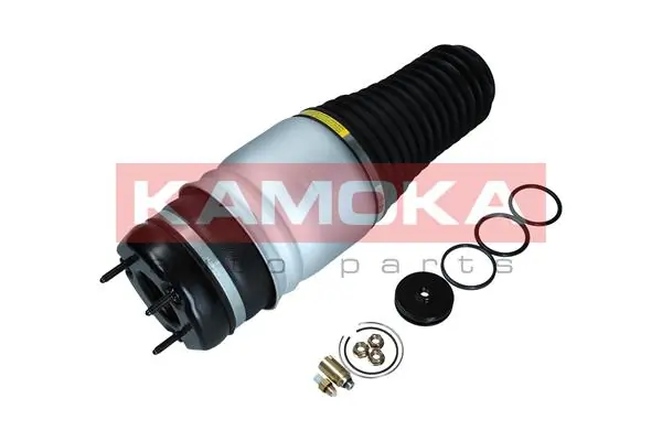 2079026 Kamoka