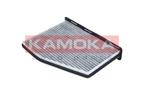 F501701 Kamoka Filtro antipolen