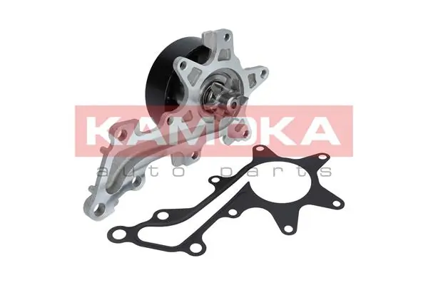 T0109 Kamoka