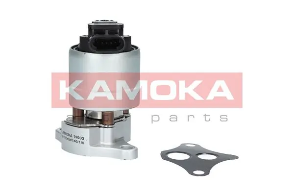 19003 Kamoka