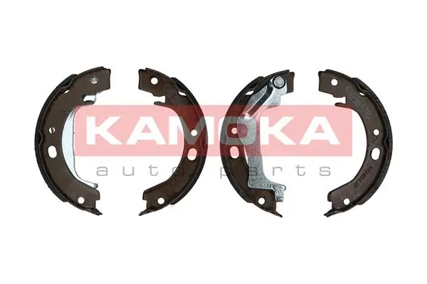 JQ212049 Kamoka