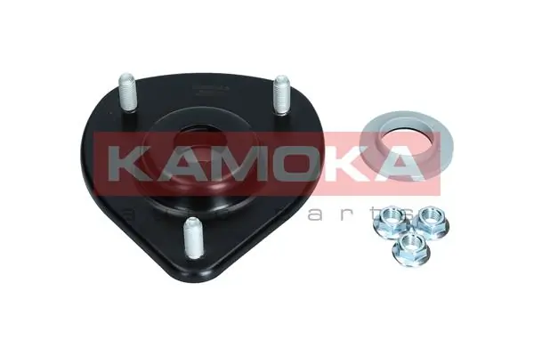 209254 Kamoka
