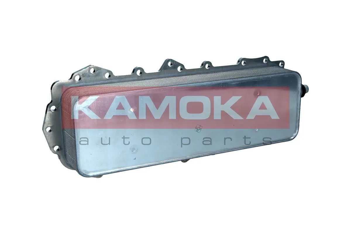 7730164 Kamoka