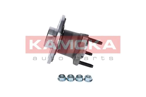 5500079 Kamoka Buje de rueda trasero