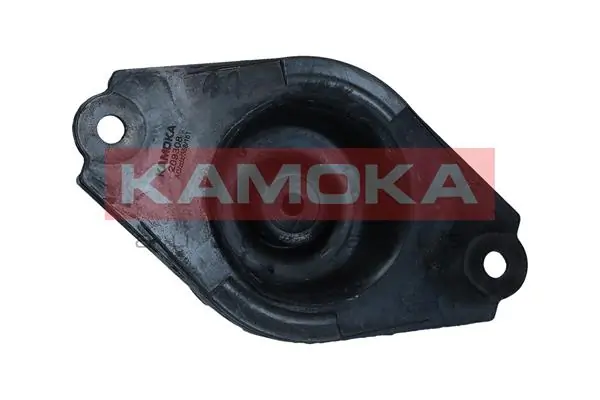 209308 Kamoka