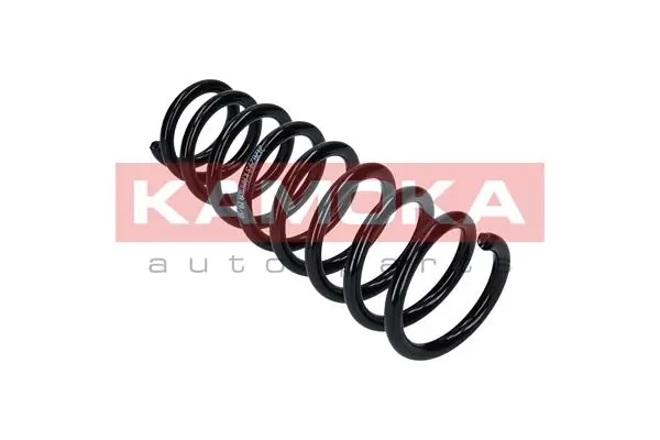 2120293 Kamoka Muelle trasero