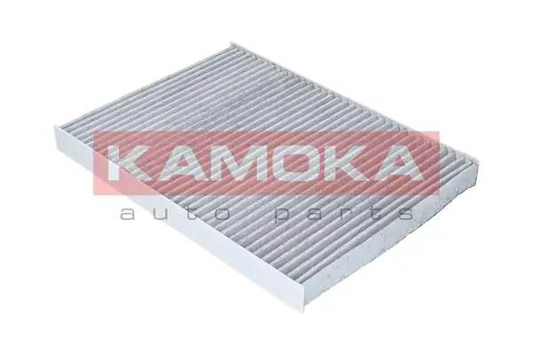 F500201 Kamoka Filtro antipolen