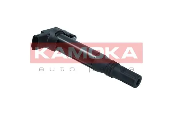 7120019 Kamoka