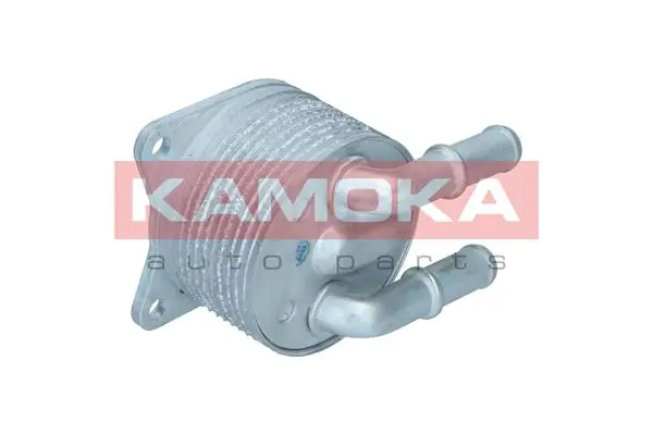 7730152 Kamoka