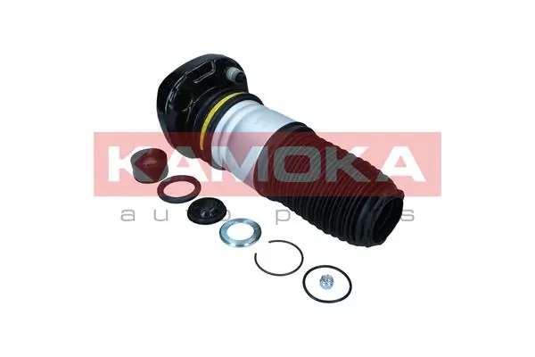 2079070 Kamoka